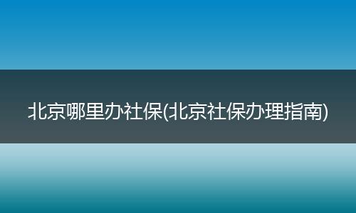 北京哪里办社保(北京社保办理指南)