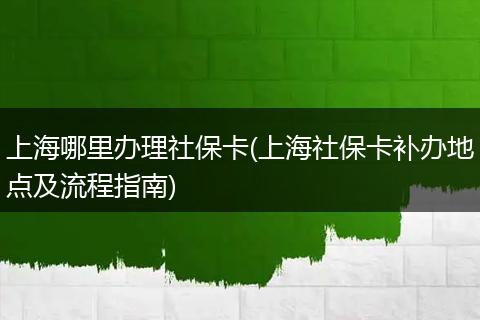 上海哪里办理社保卡(上海社保卡补办地点及流程指南)