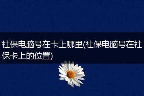 社保电脑号在卡上哪里(社保电脑号在社保卡上的位置)