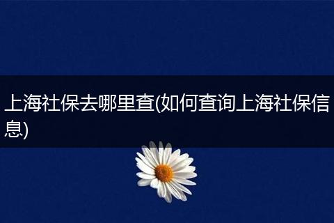 上海社保去哪里查(如何查询上海社保信息)