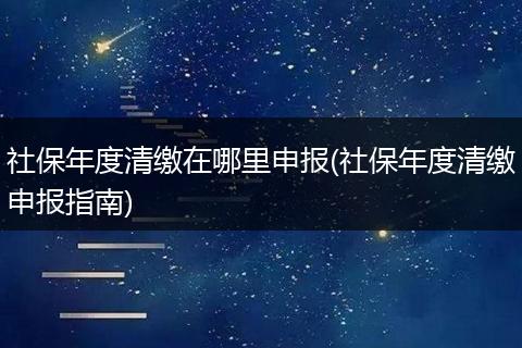 社保年度清缴在哪里申报(社保年度清缴申报指南)