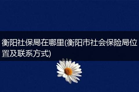 衡阳社保局在哪里(衡阳市社会保险局位置及联系方式)