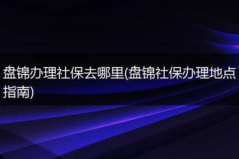 盘锦办理社保去哪里(盘锦社保办理地点指南)