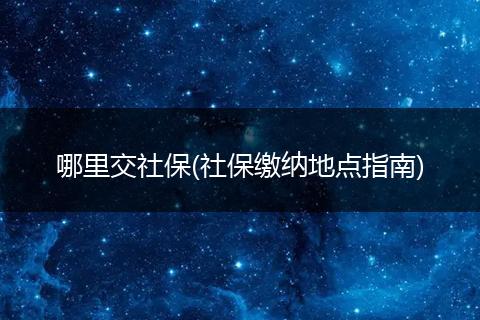 哪里交社保(社保缴纳地点指南)