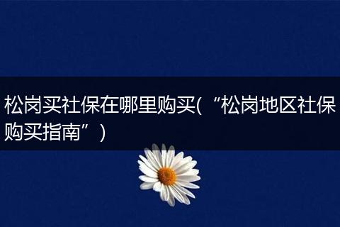 松岗买社保在哪里购买(“松岗地区社保购买指南”)