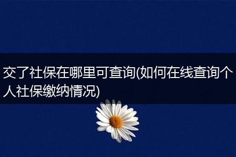 交了社保在哪里可查询(如何在线查询个人社保缴纳情况)