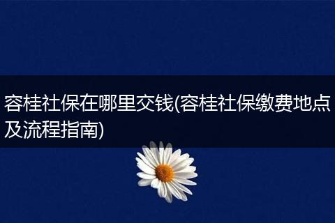 容桂社保在哪里交钱(容桂社保缴费地点及流程指南)