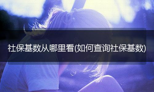 社保基数从哪里看(如何查询社保基数)