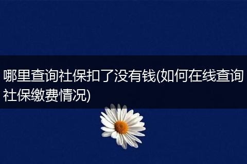 哪里查询社保扣了没有钱(如何在线查询社保缴费情况)