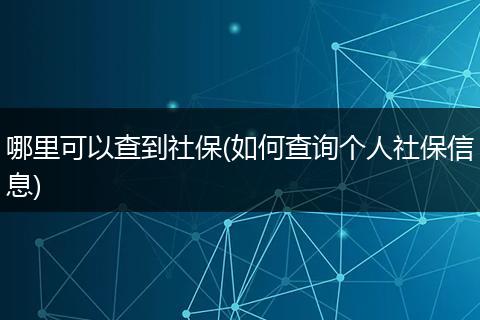 哪里可以查到社保(如何查询个人社保信息)