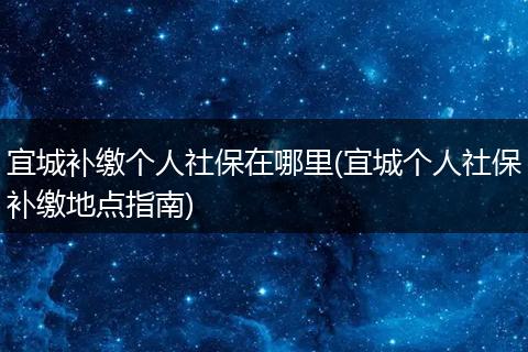 宜城补缴个人社保在哪里(宜城个人社保补缴地点指南)