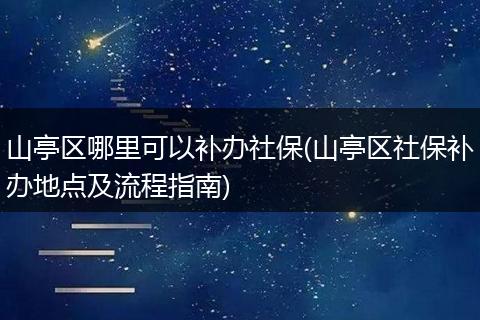 山亭区哪里可以补办社保(山亭区社保补办地点及流程指南)
