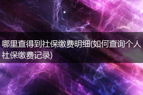 哪里查得到社保缴费明细(如何查询个人社保缴费记录)