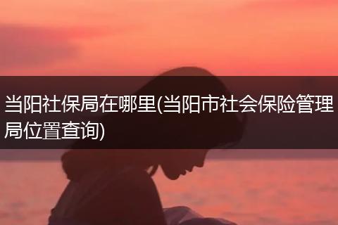 当阳社保局在哪里(当阳市社会保险管理局位置查询)