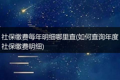 社保缴费每年明细哪里查(如何查询年度社保缴费明细)