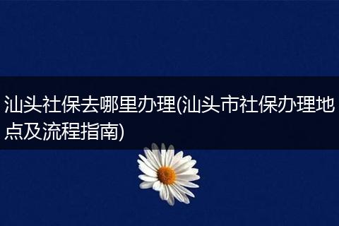 汕头社保去哪里办理(汕头市社保办理地点及流程指南)