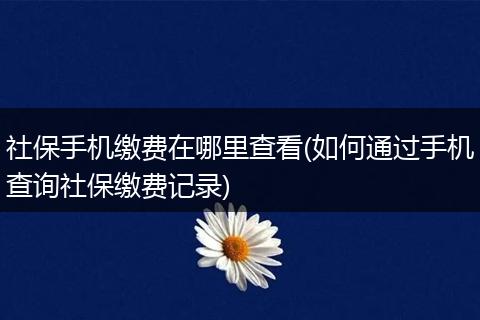 社保手机缴费在哪里查看(如何通过手机查询社保缴费记录)
