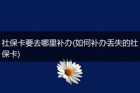 社保卡要去哪里补办(如何补办丢失的社保卡)