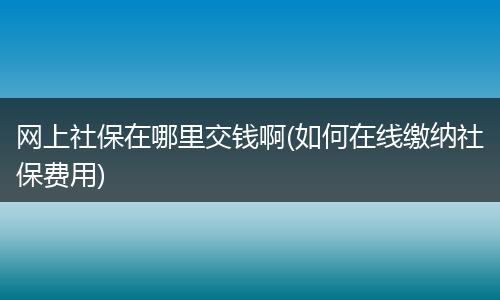网上社保在哪里交钱啊(如何在线缴纳社保费用)