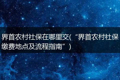 界首农村社保在哪里交(“界首农村社保缴费地点及流程指南”)