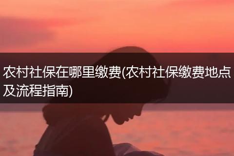 农村社保在哪里缴费(农村社保缴费地点及流程指南)