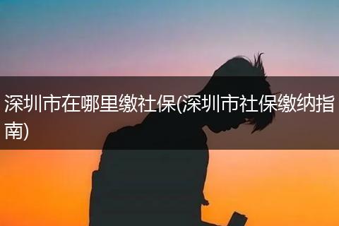 深圳市在哪里缴社保(深圳市社保缴纳指南)