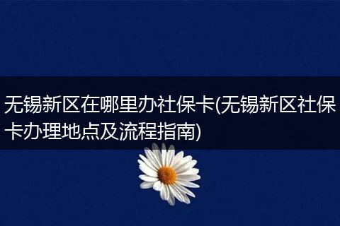 无锡新区在哪里办社保卡(无锡新区社保卡办理地点及流程指南)
