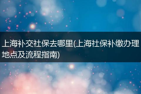 上海补交社保去哪里(上海社保补缴办理地点及流程指南)