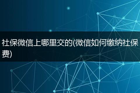 社保微信上哪里交的(微信如何缴纳社保费)