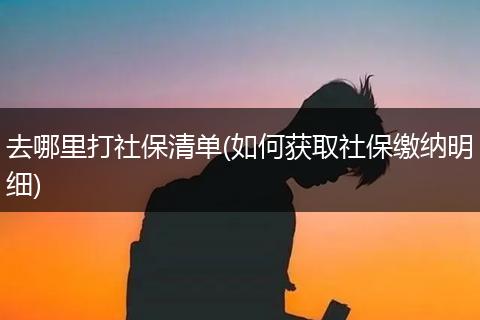 去哪里打社保清单(如何获取社保缴纳明细)