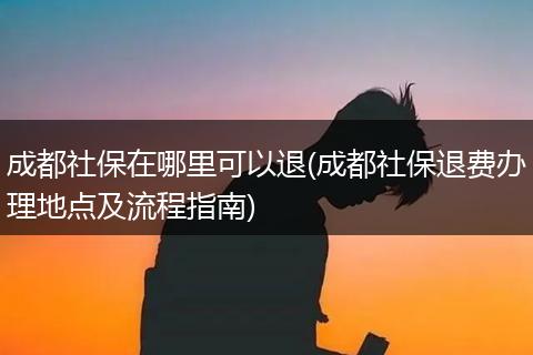 成都社保在哪里可以退(成都社保退费办理地点及流程指南)