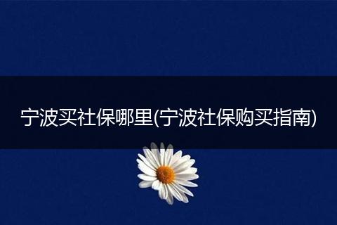 宁波买社保哪里(宁波社保购买指南)