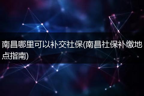 南昌哪里可以补交社保(南昌社保补缴地点指南)