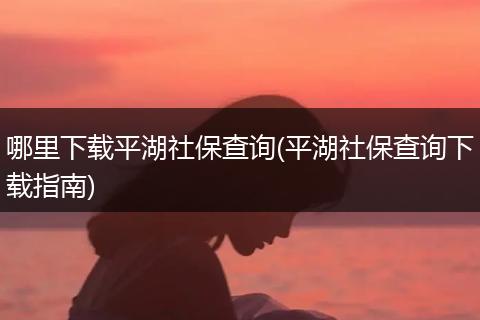 哪里下载平湖社保查询(平湖社保查询下载指南)