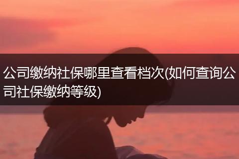 公司缴纳社保哪里查看档次(如何查询公司社保缴纳等级)