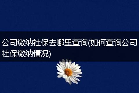 公司缴纳社保去哪里查询(如何查询公司社保缴纳情况)