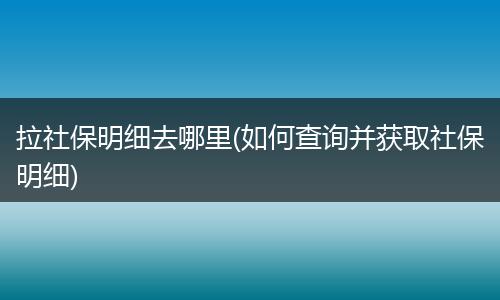 拉社保明细去哪里(如何查询并获取社保明细)