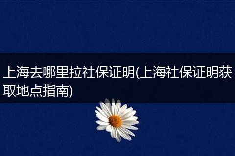 上海去哪里拉社保证明(上海社保证明获取地点指南)