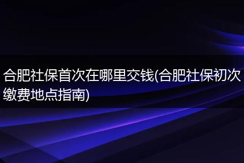 合肥社保首次在哪里交钱(合肥社保初次缴费地点指南)