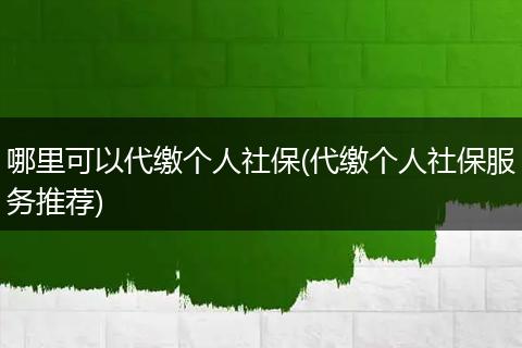 哪里可以代缴个人社保(代缴个人社保服务推荐)