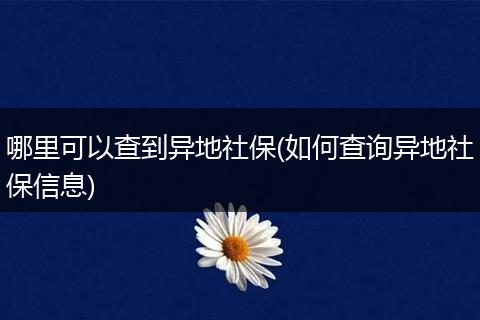 哪里可以查到异地社保(如何查询异地社保信息)