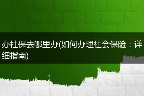 办社保去哪里办(如何办理社会保险：详细指南)