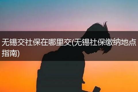 无锡交社保在哪里交(无锡社保缴纳地点指南)
