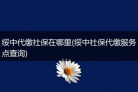 绥中代缴社保在哪里(绥中社保代缴服务点查询)