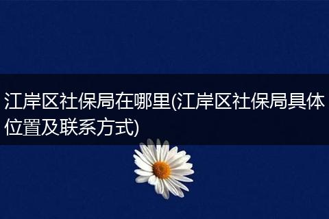 江岸区社保局在哪里(江岸区社保局具体位置及联系方式)