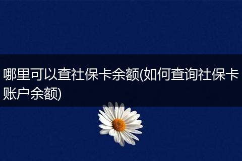 哪里可以查社保卡余额(如何查询社保卡账户余额)