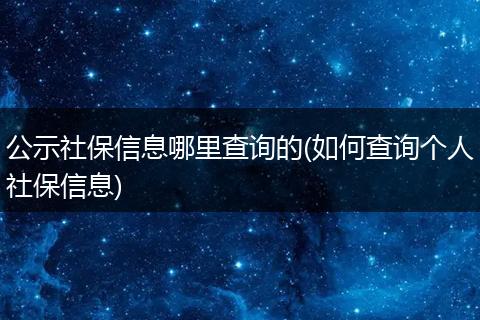 公示社保信息哪里查询的(如何查询个人社保信息)