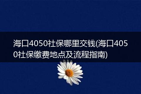 海口4050社保哪里交钱(海口4050社保缴费地点及流程指南)