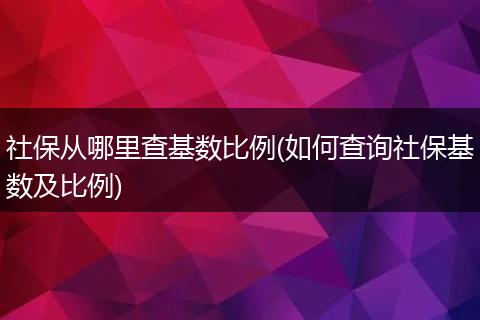社保从哪里查基数比例(如何查询社保基数及比例)