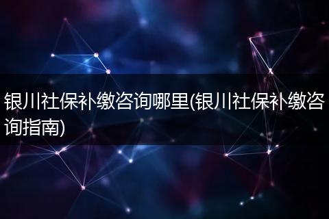 银川社保补缴咨询哪里(银川社保补缴咨询指南)